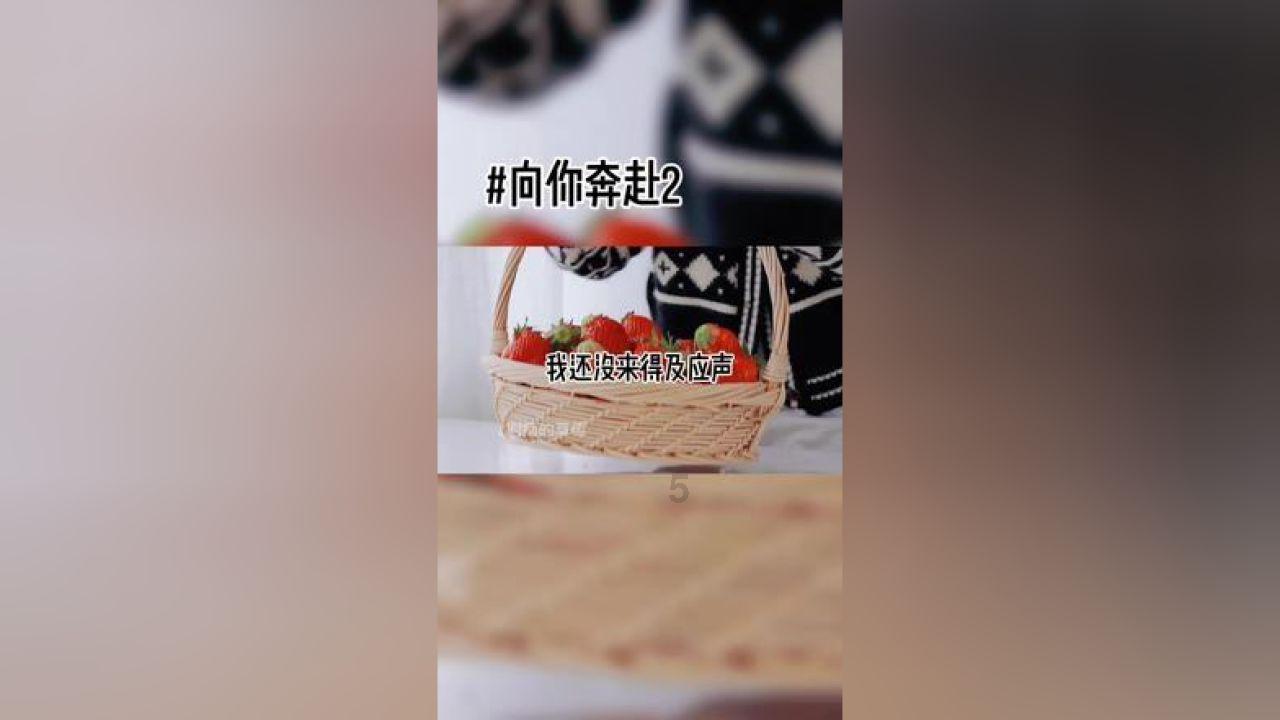 薄樱鬼：风之章